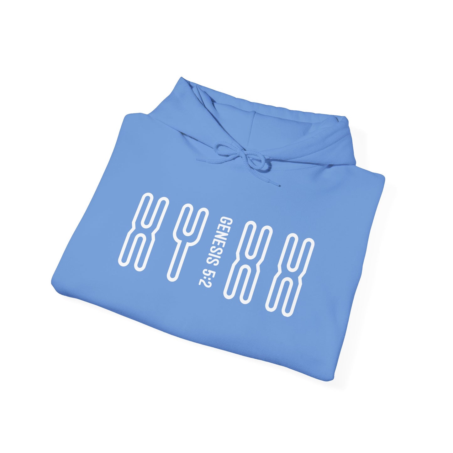 Genesis 5:2 - Christian Heavy Blend™ Hooded Sweatshirt | Breaking Curses 101