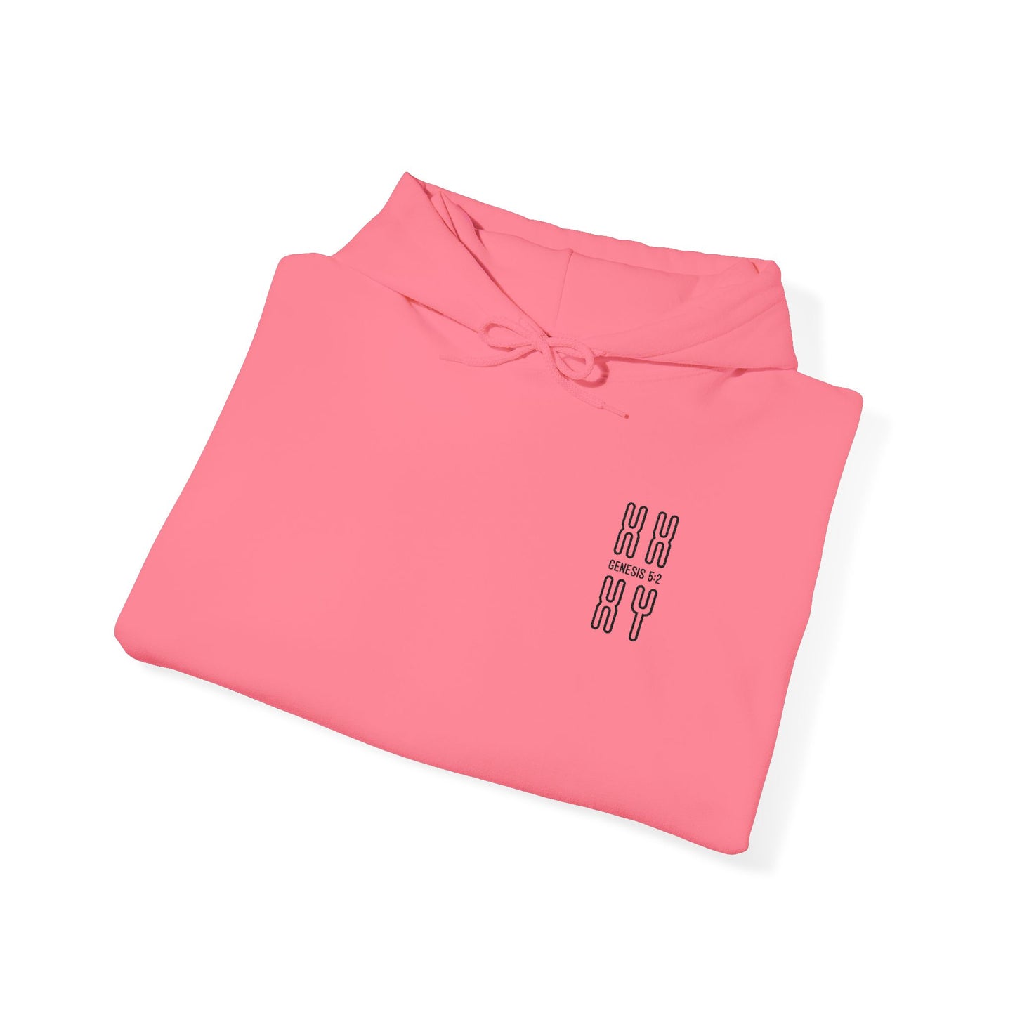 Genesis 5:2 - Embroidered Christian Hooded Sweatshirt