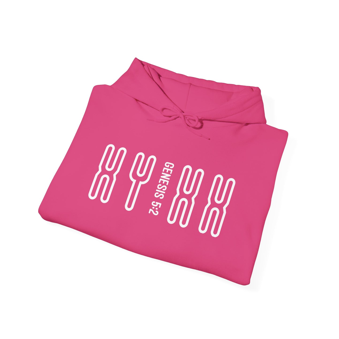 Genesis 5:2 - Christian Heavy Blend™ Hooded Sweatshirt | Breaking Curses 101