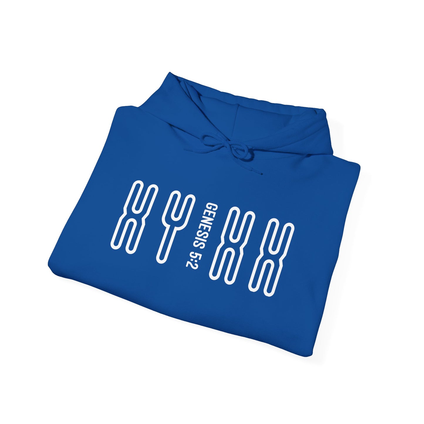 Genesis 5:2 - Christian Heavy Blend™ Hooded Sweatshirt | Breaking Curses 101